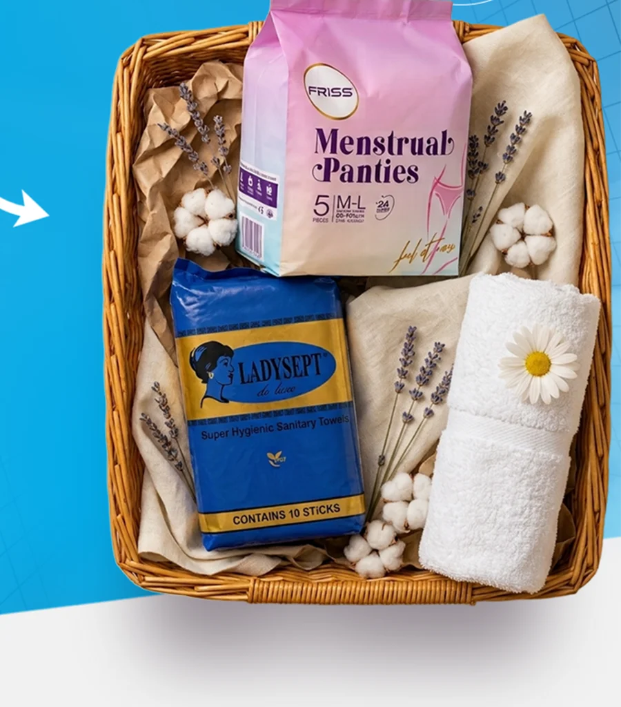 Ladysept + Menstrual Panties + Towel — image 1