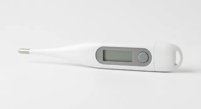 Digital Thermometer
